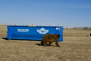 Blue Bear Dumpster in The Wild Animal Sanctuary in Keenesburg, CO