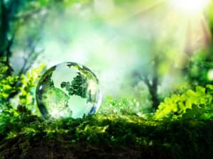 A glass globe sitting in the middle of some grass.