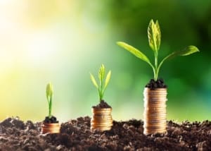 Three stacks of coins with plants growing on them.